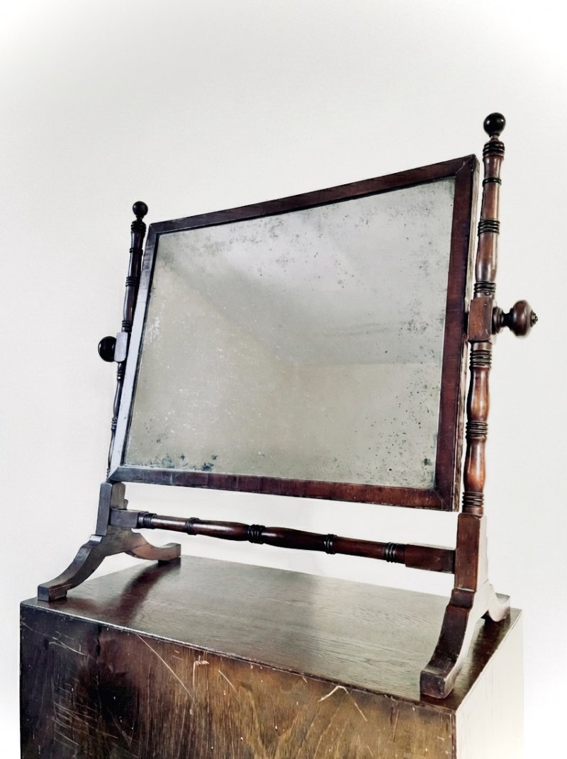 Nineteenth Century Mahogany Swing Mirror